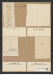 Ditylum brightwellii (West) Grun. (de-Toni-Nr.: Genus 165, Species 4281) Zeichnungen Sammlung Grunow Nr. 7836 (NHMW-BOT-W0377082)